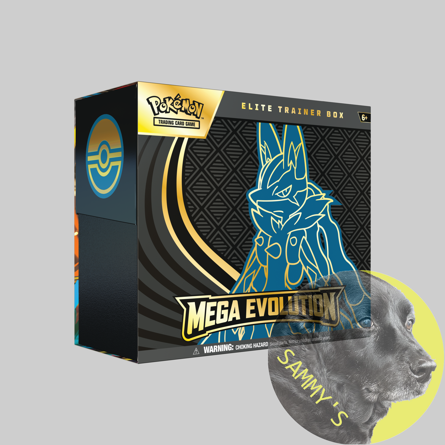 Mega Evolution Elite Trainer Box