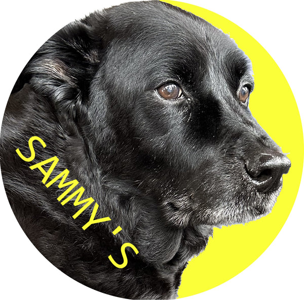 Sammy's Card Shop logo