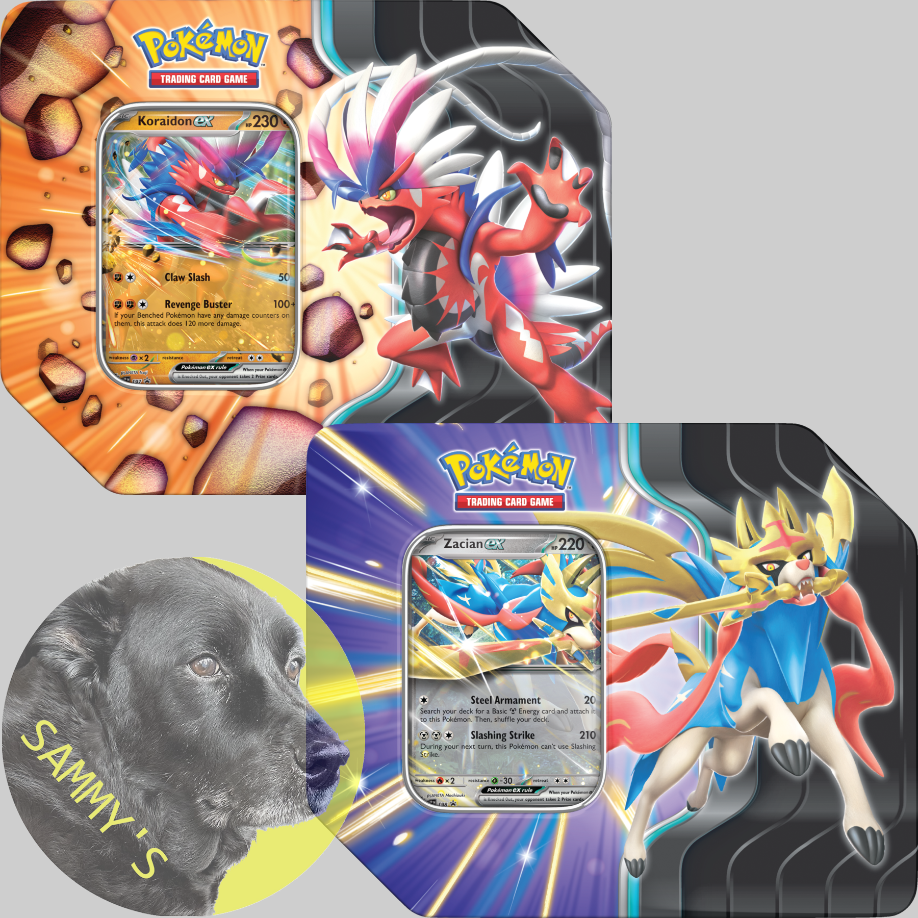 Slashing Legends Tin Sammy's Card Shop Slashing Legends Tin Sammy's Card Shop