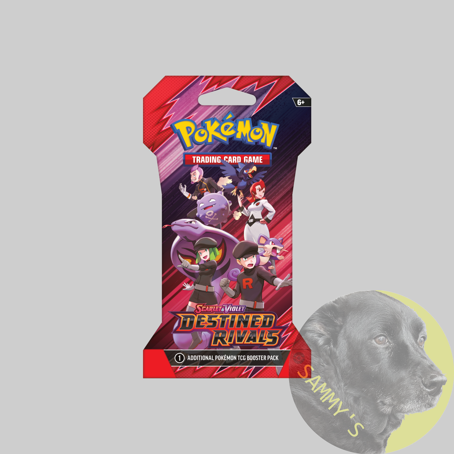 Destined Rivals Sleeved Booster