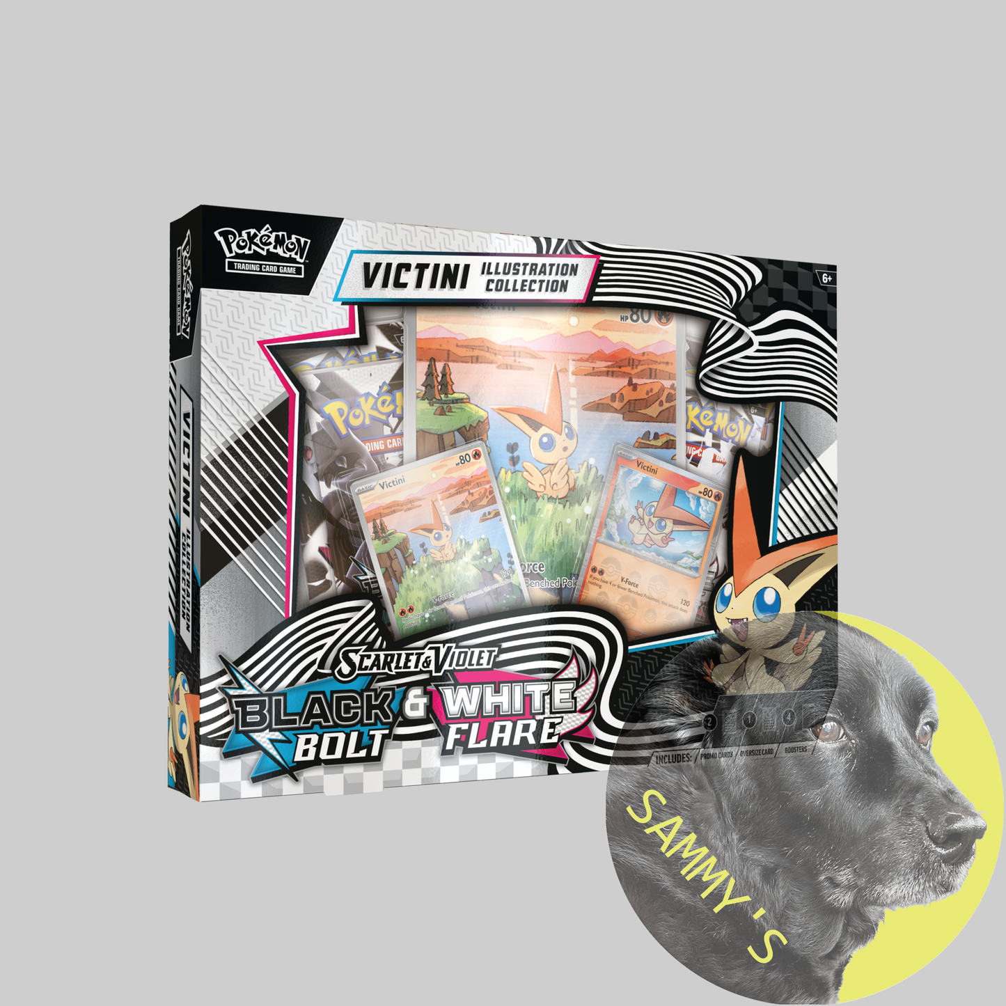 Victini Illustration Collection Box