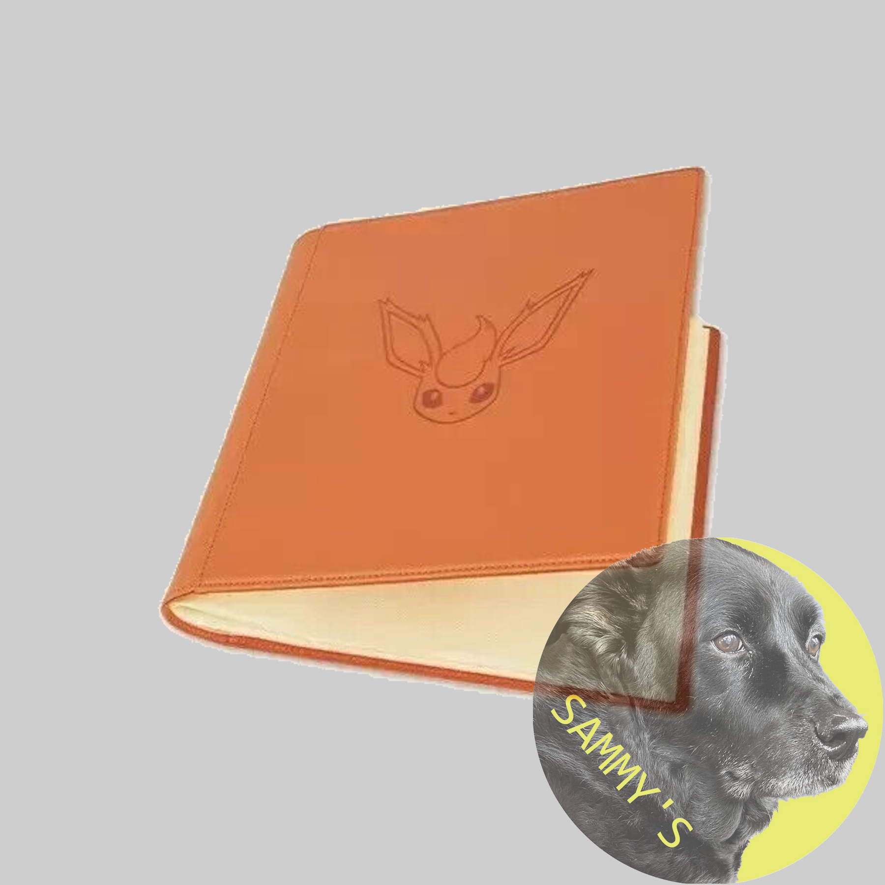 eevee card binder SCN Eevee Gift Box 480 Pocket Binder (Binder ONLY) – Sammy's Card Shop