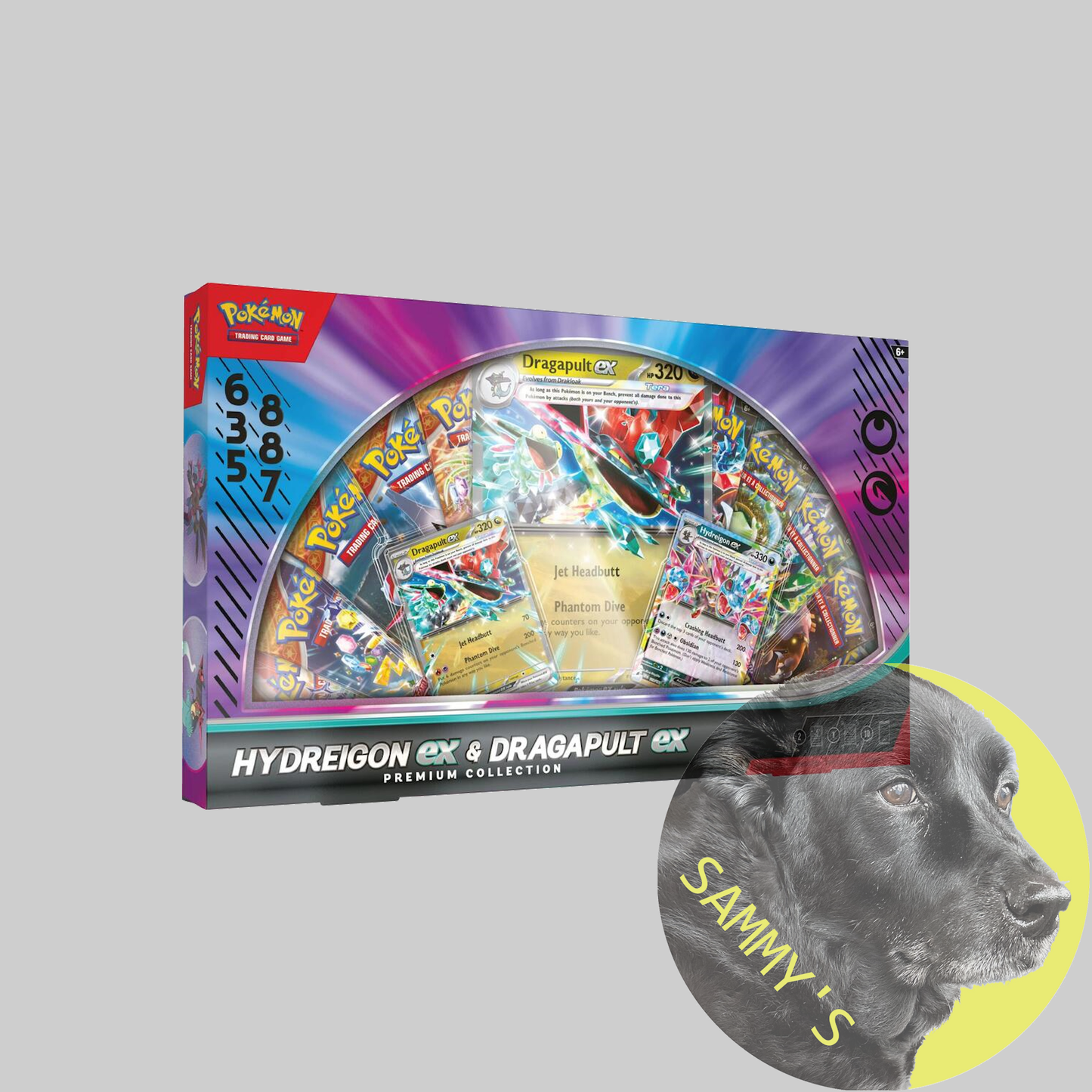 Hydreigon ex & Dragapult ex Premium Collection