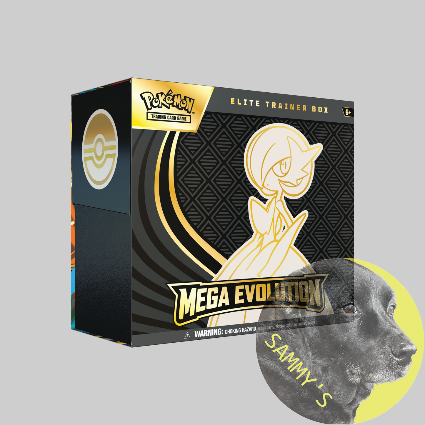 Mega Evolution Elite Trainer Box