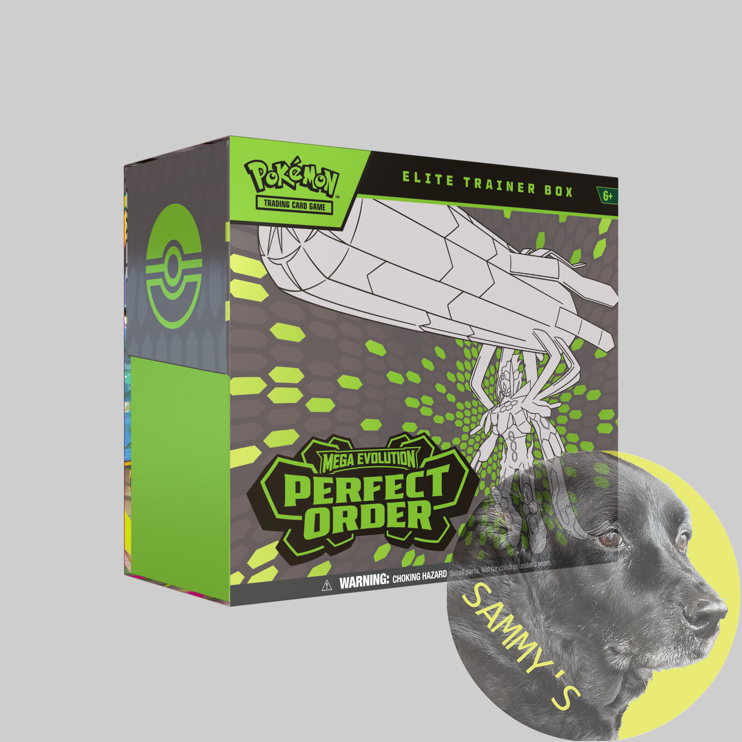 Perfect Order Elite Trainer Box