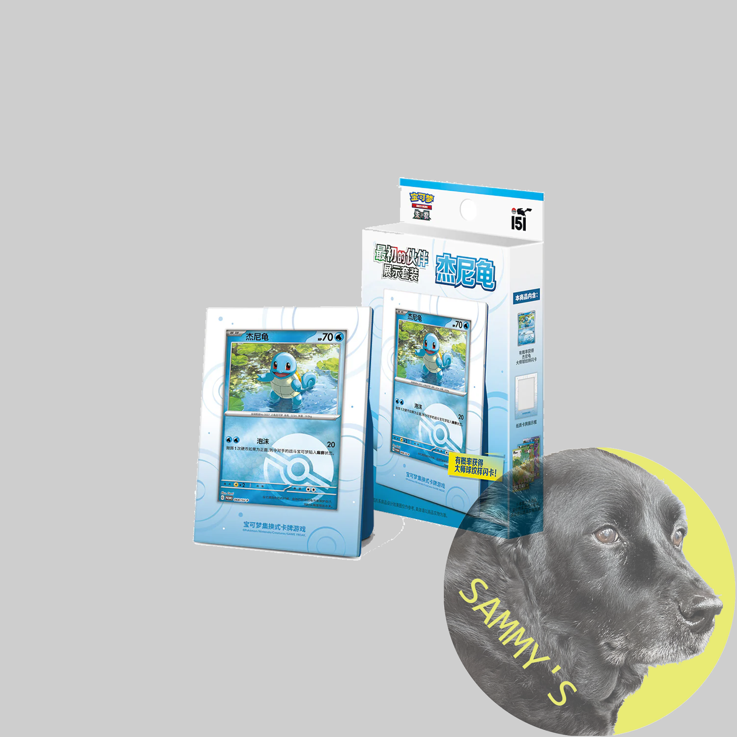 SCN First Partner Display Box